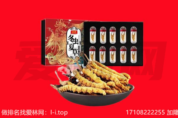 菏泽市成武回收虫草.jpg